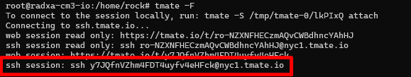 tmate-session.png